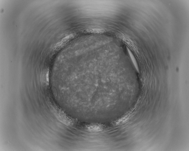 X0000086920358200705071334