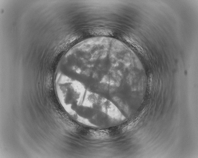 X0000086920359200705071334