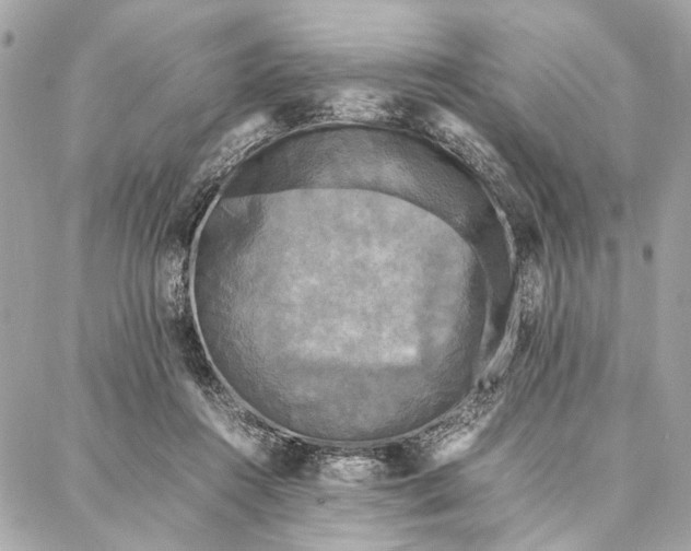 X0000086920360200705071334