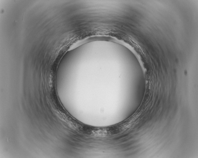 X0000086920362200705071334