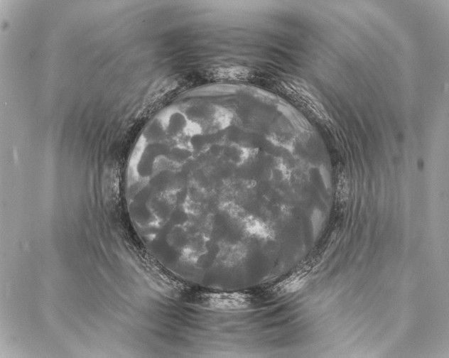 X0000086920363200705071334