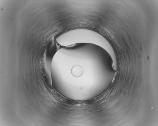 X0000086920364200705071334