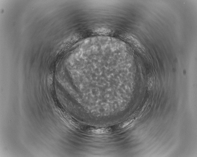 X0000086920365200705071334