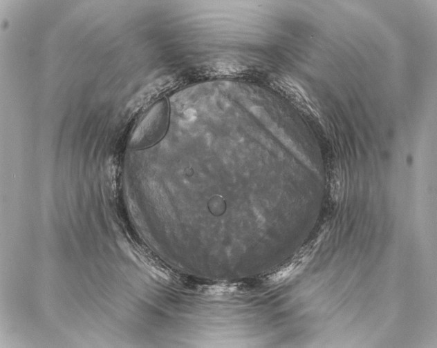 X0000086920366200705071334