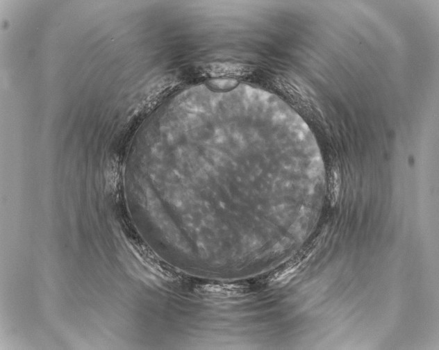 X0000086920367200705071334