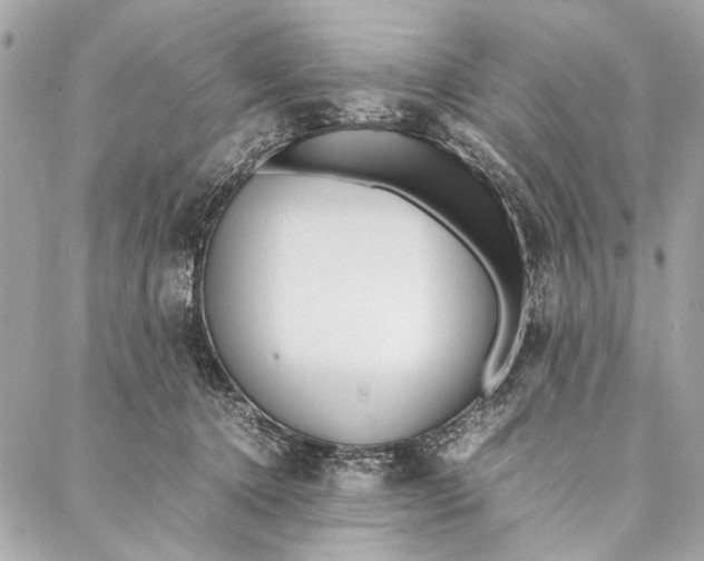 X0000086920368200705071334