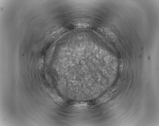 X0000086920369200705071334