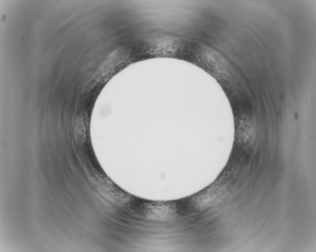 X0000086920370200705071334