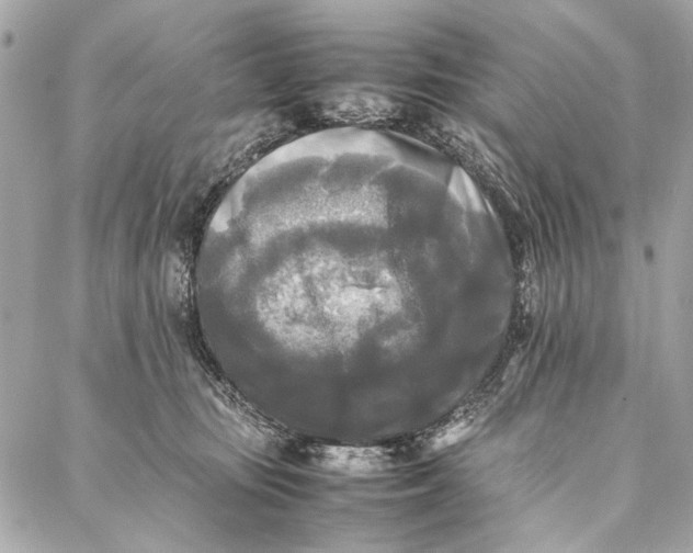 X0000086920371200705071334