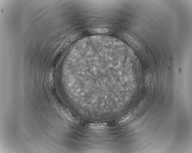 X0000086920373200705071334