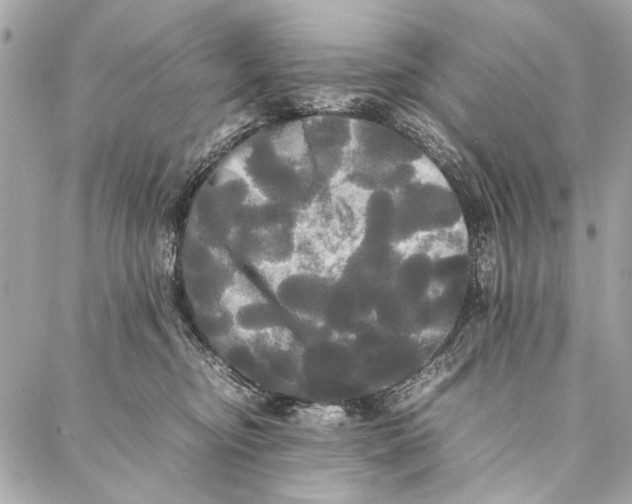 X0000086920374200705071334