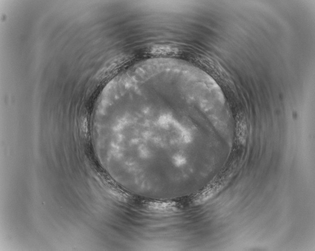 X0000086920375200705071334