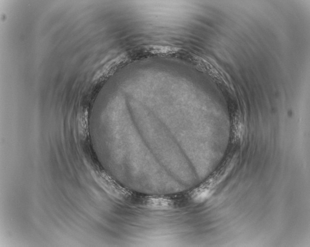 X0000086920376200705071334