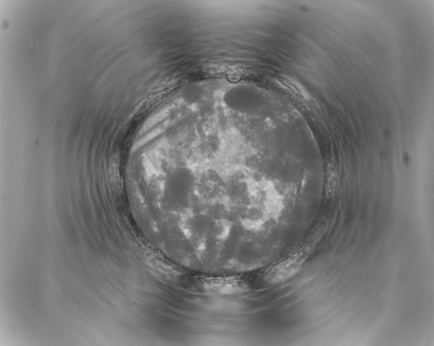 X0000086920377200705071334