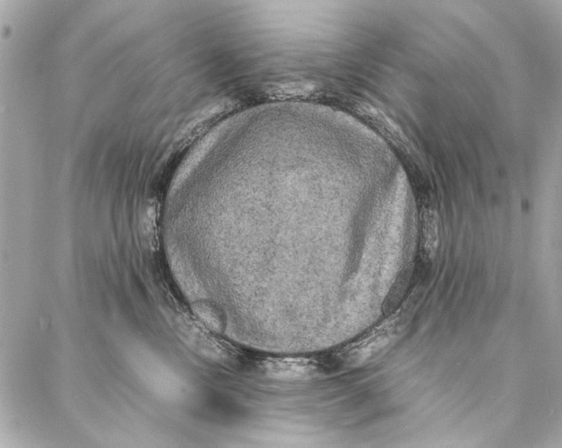 X0000086920378200705071334