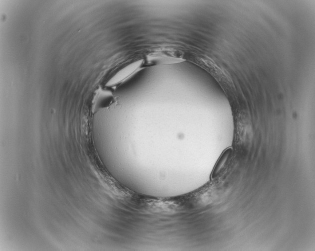 X0000086920379200705071334