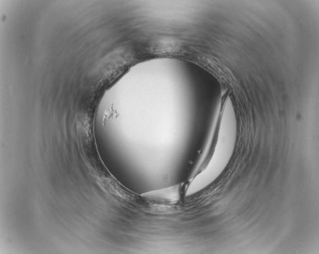 X0000086920380200705071334