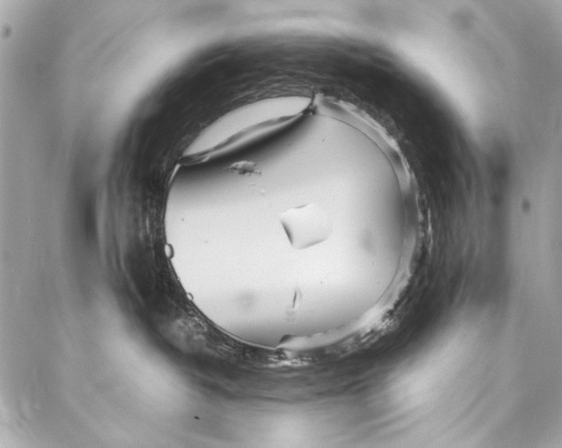 X0000086920382200705071334