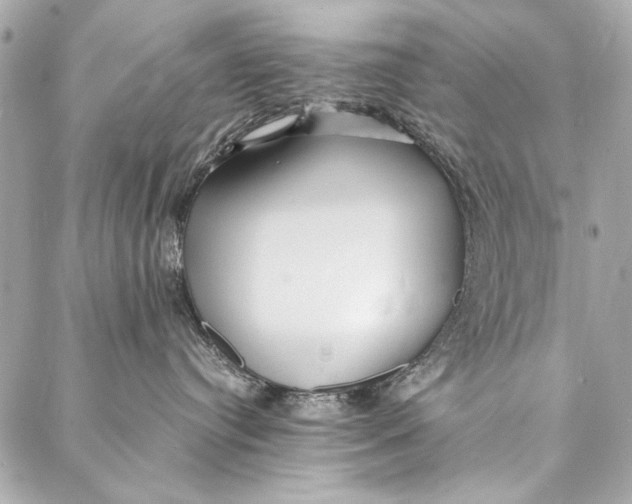 X0000086920384200705071334