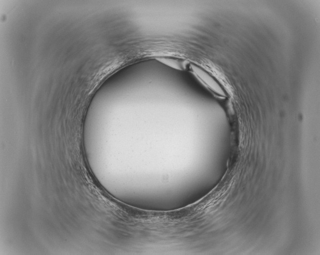 X0000086920385200705071333