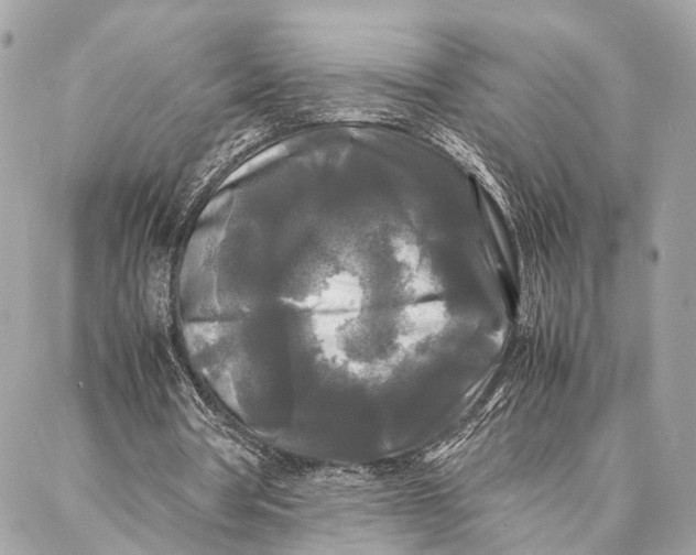 X0000086920386200705071333