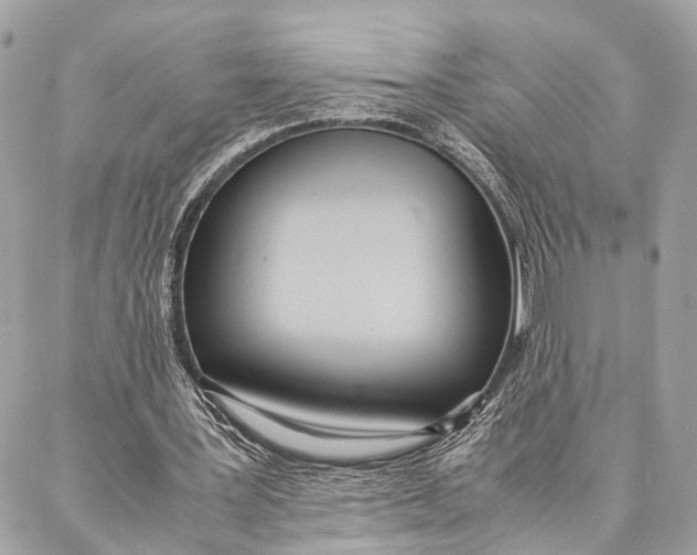 X0000086920387200705071333