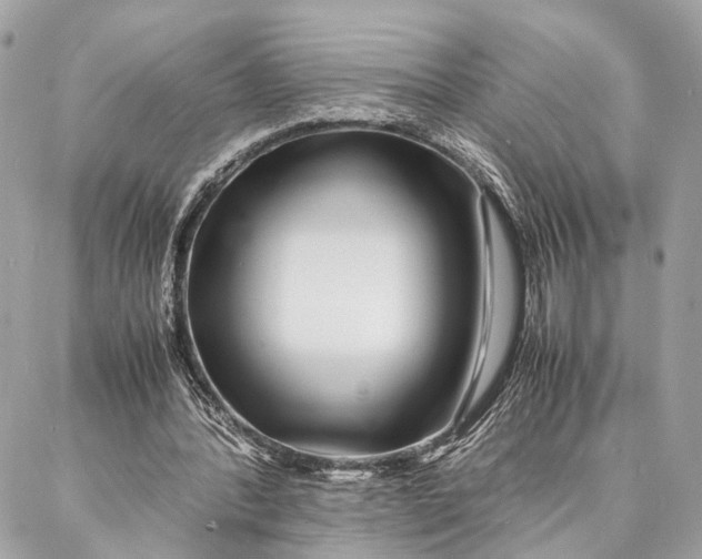 X0000086920388200705071333