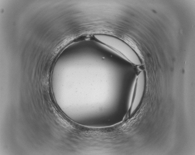 X0000086920389200705071333