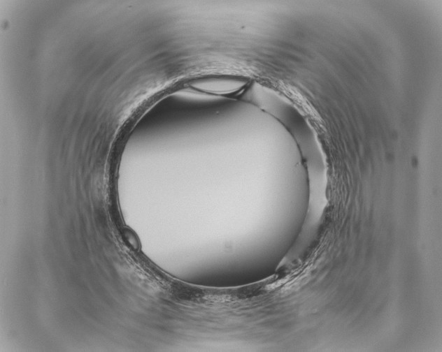 X0000086920391200705071333