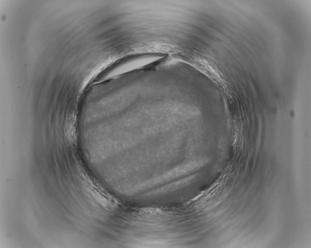 X0000086920392200705071333