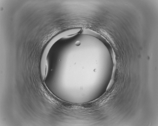 X0000086920393200705071333