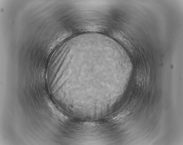 X0000086920394200705071333