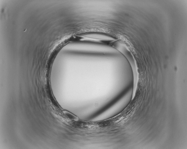 X0000086920395200705071333