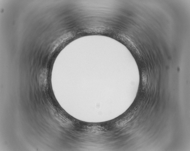 X0000086920396200705071333