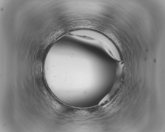 X0000086920397200705071333