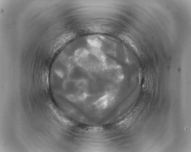 X0000086920398200705071333