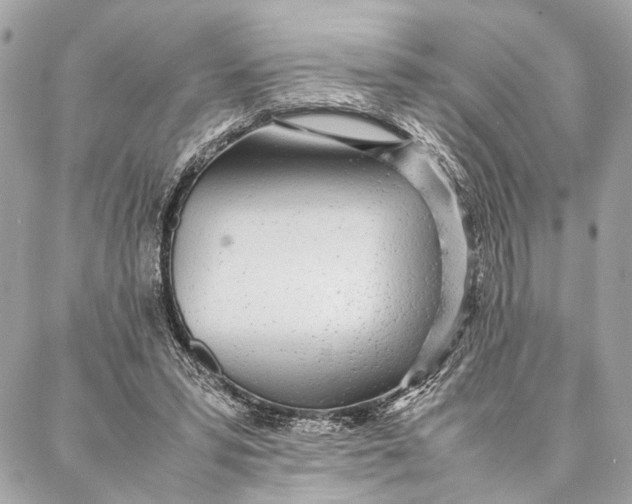 X0000086920399200705071333