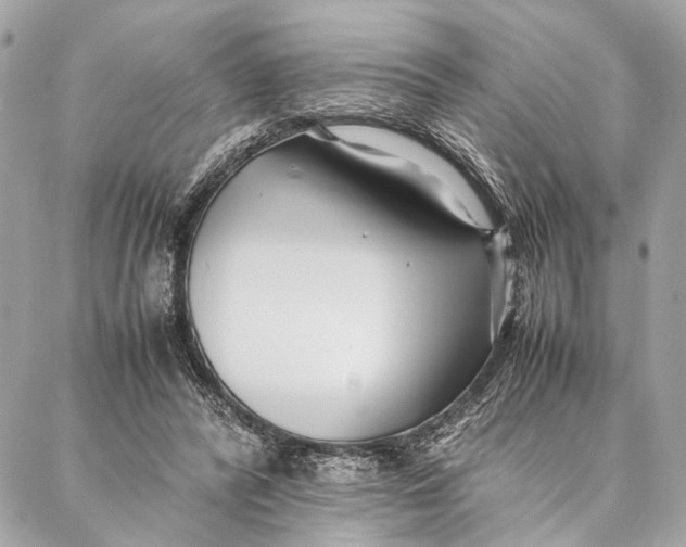 X0000086920400200705071333