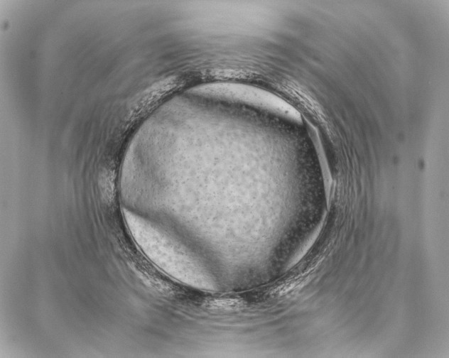 X0000086920401200705071333