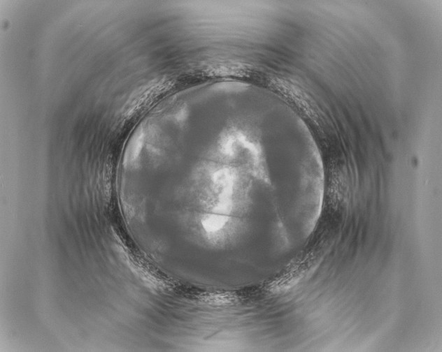 X0000086920402200705071333