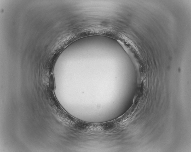 X0000086920403200705071333