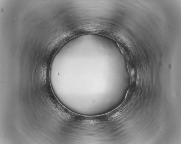 X0000086920404200705071333