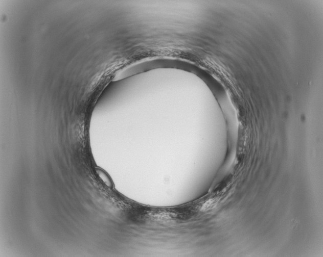 X0000086920407200705071333