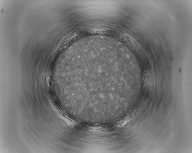 X0000086920408200705071333