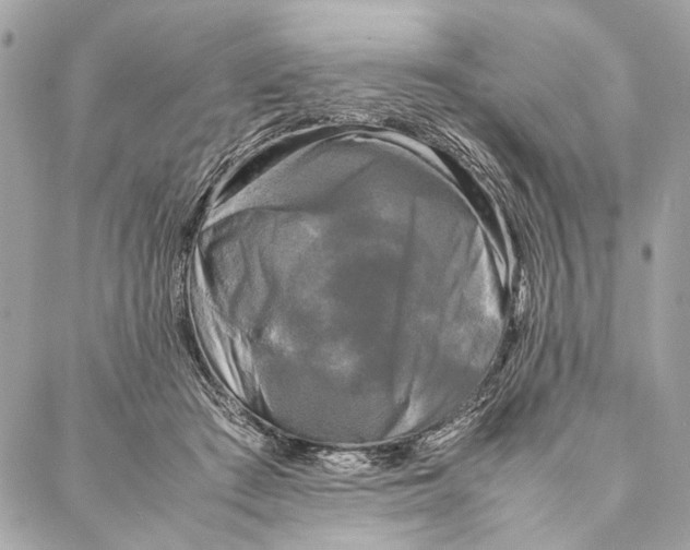 X0000086920409200705071333