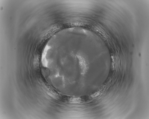 X0000086920410200705071333