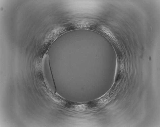 X0000086920411200705071333