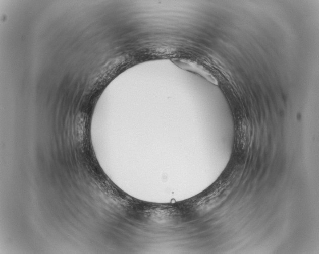 X0000086920412200705071333