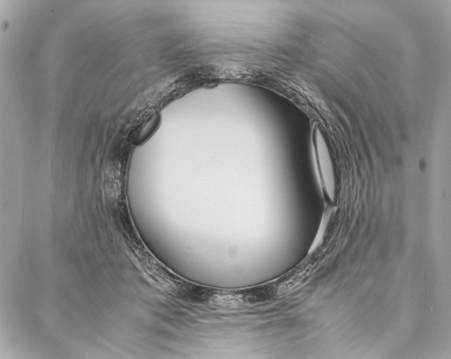 X0000086920413200705071333