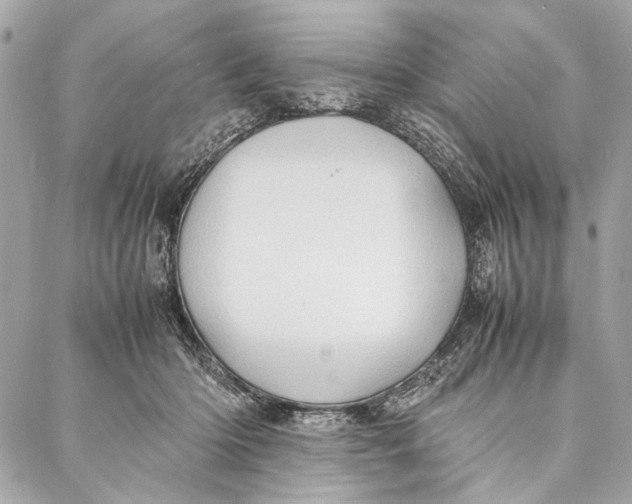 X0000086920414200705071333